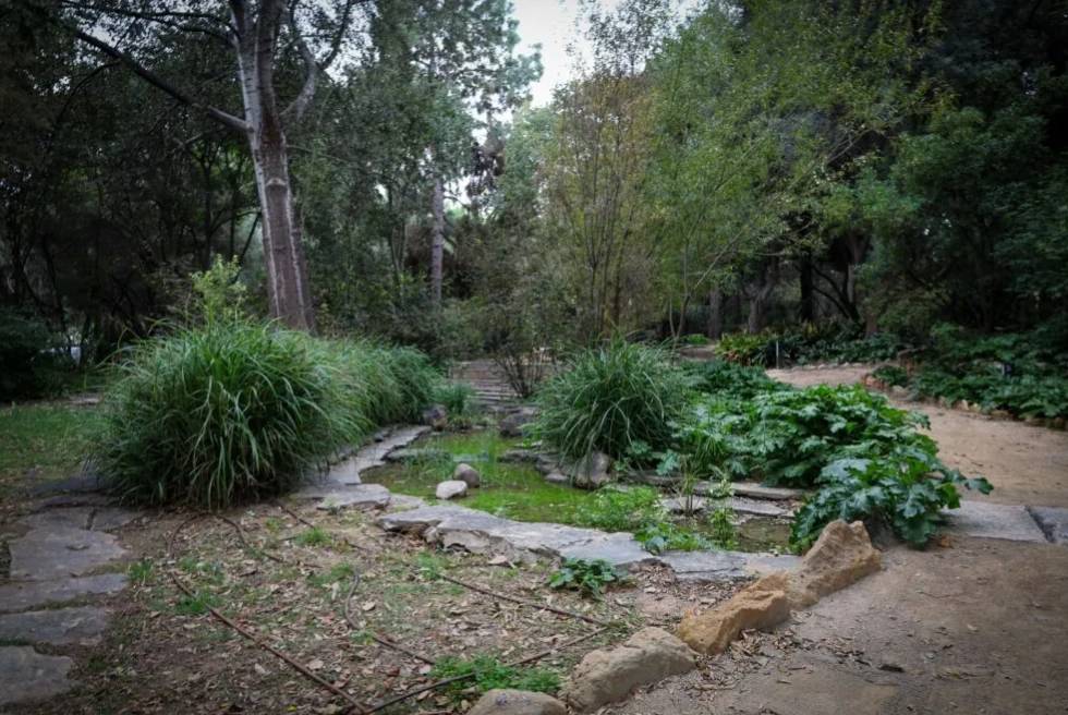 L’Hort de Trénor estrena il·luminació escènica per a posar en valor el parc també de nit