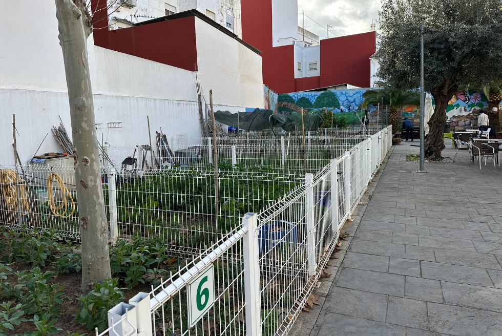 L’hort urbà del Centre de Majors Verge de l’Olivar promou l’envelliment actiu a Torrent