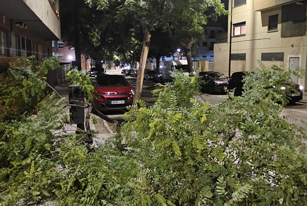 El vent de ponent tomba branques d'arbres en Torrent
