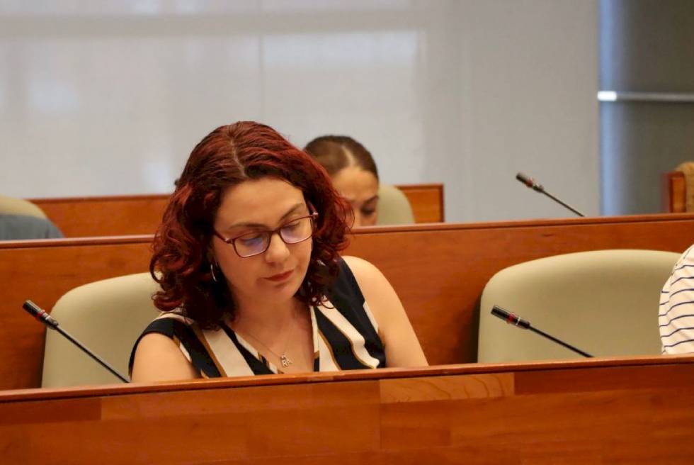 VOX proposa regular l’accés als edificis municipals de Torrent quan no siga possible identificar el rostre