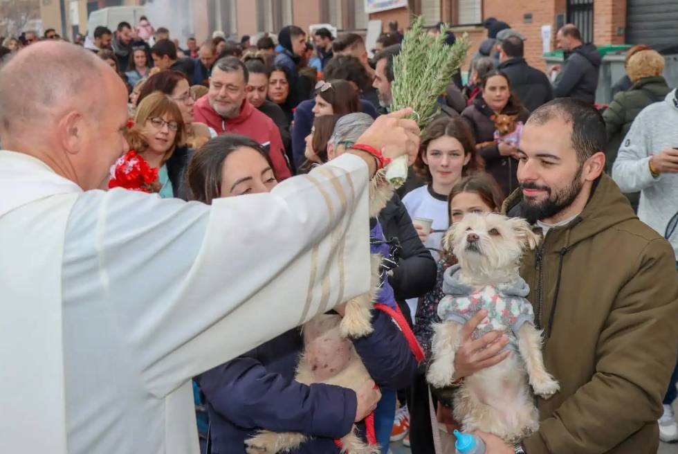 Torrent prepara les festes de Sant Antoni Abat 2026 amb foc, devoció i protagonisme per als animals