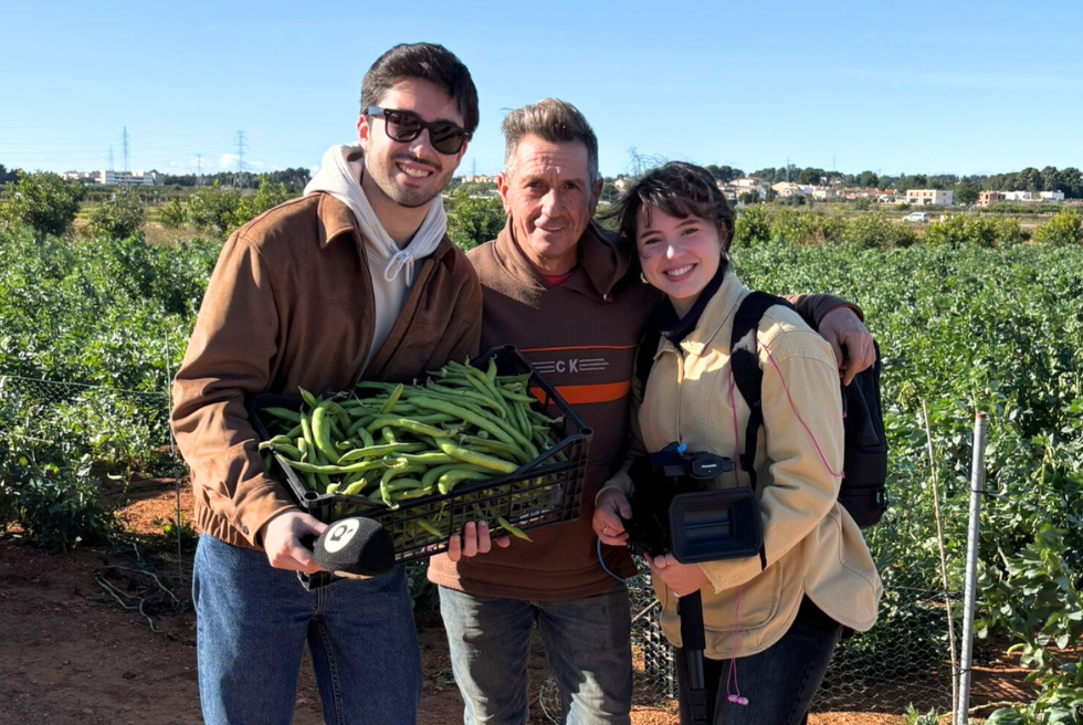 La collita de faves a Torrent ha resistit malgrat el vent