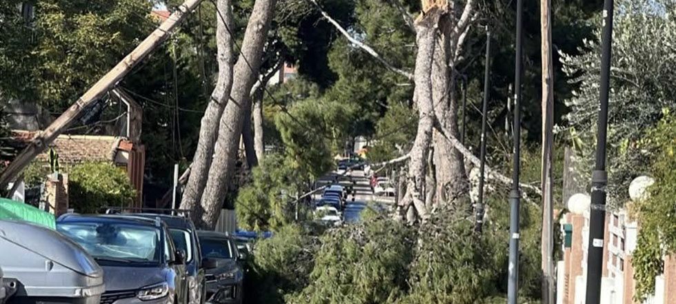 Caigudes de branques i fa&ccedil;anes pel vent