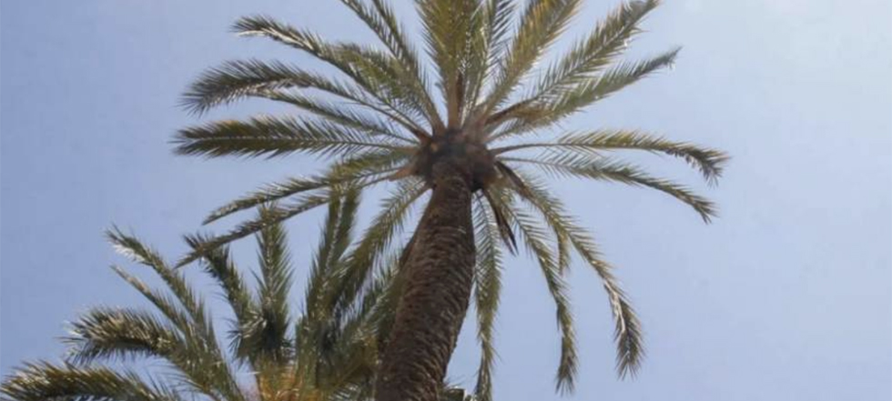 Baixada dels term&ograve;metres pel vent de mestral