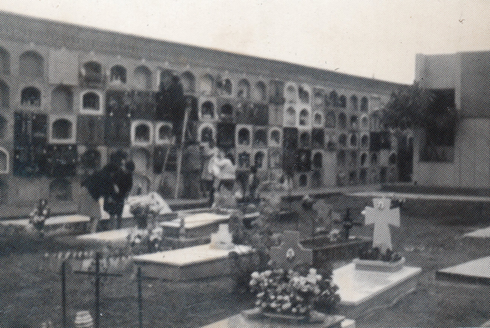 Fenòmens al cementeri