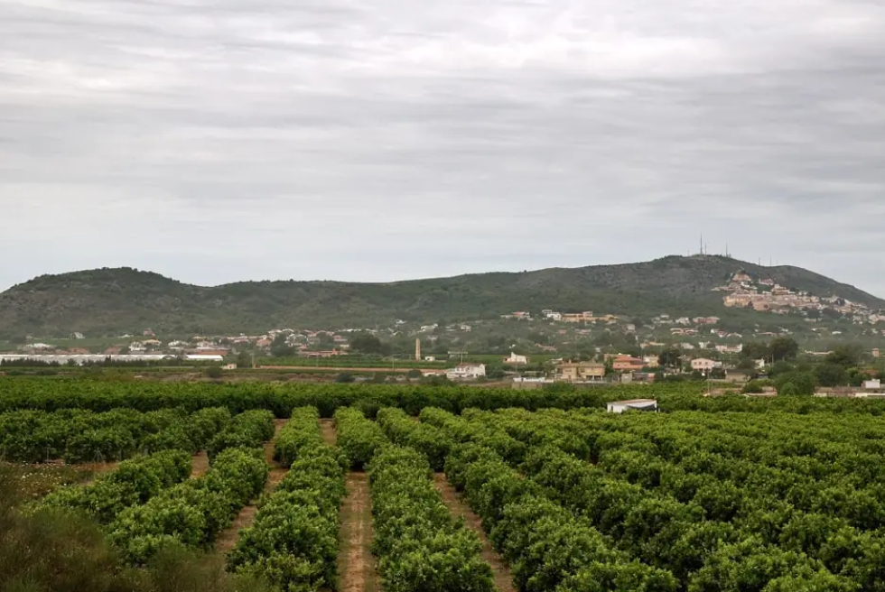 Torrent incorpora 58 hectàrees de sòl forestal públic a la Serra Perenxisa