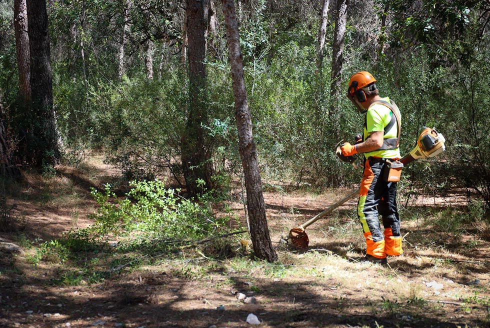 Adjudicat el contracte de manteniment de  la Serra Perenxisa, El Vedat i els barrancs