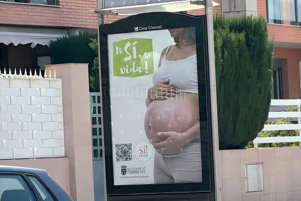 El PSOE denuncia la campanya de la plataforma 