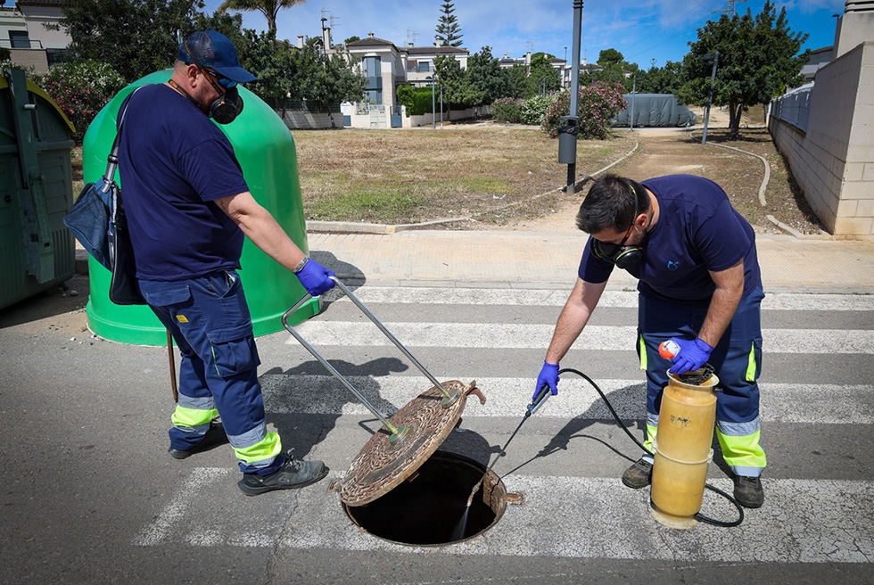 S'intensifica el tractament per a plagues de paneroles i rosegadors