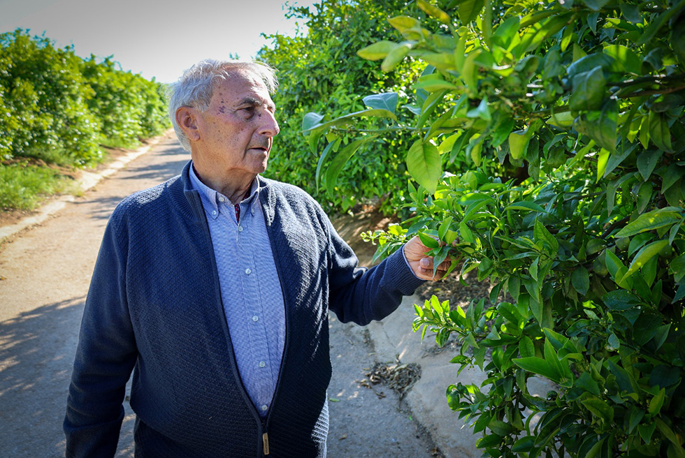 Vicent Simó Medina, “Cucala”, Llaurador de l’Any 2026