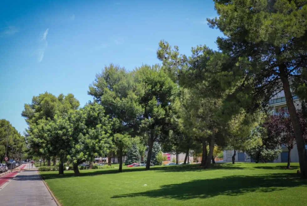 La infraestructura verda de Torrent continua creixent amb 11.300 arbres inventariats