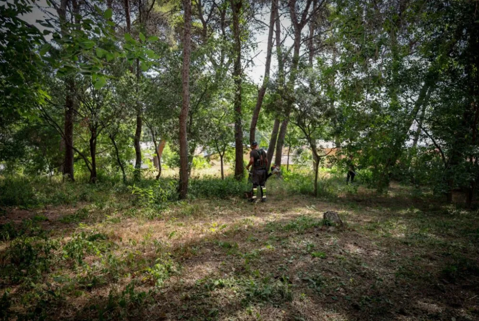 Torrent reforça la prevenció d’incendis en les zones forestals