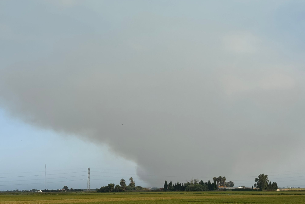 L'incendi a la Devesa del Saler provoca un dens fummall a Torrent i l'àrea metropolitana