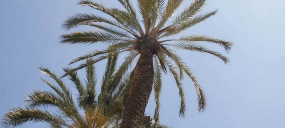 Estabilitat, sol i possibles pluges a finals de setmana