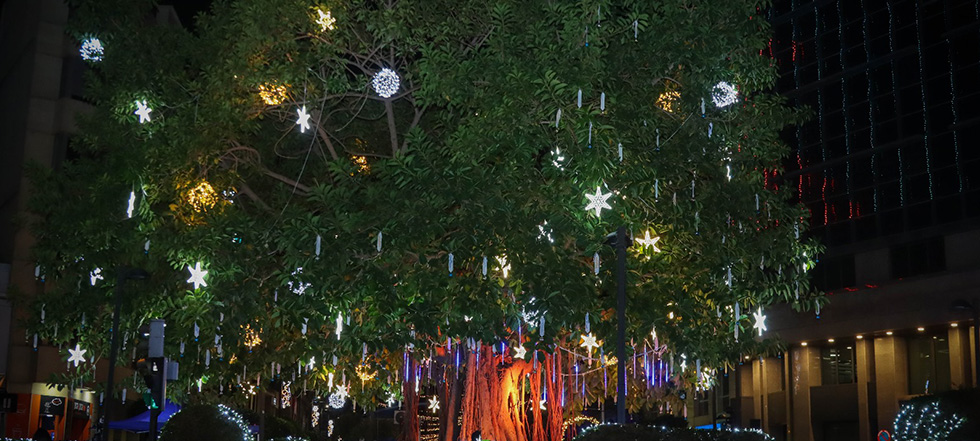 Música, cors i una coreografia lluminosa per encendre el Nadal 